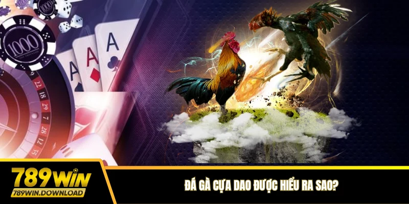 Đá gà cựa dao được hiểu ra sao?