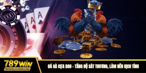 Đá gà cựa dao 789win