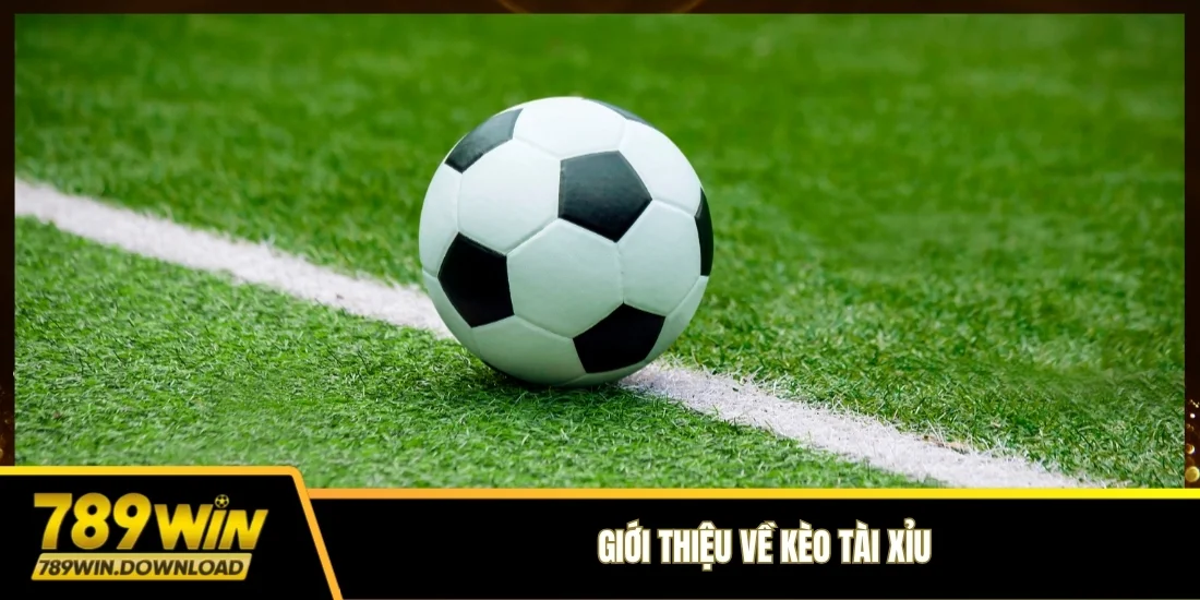 Giới thiệu về kèo tài xỉu 789win