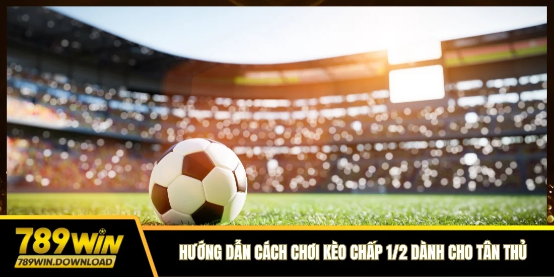 Hướng dẫn cách chơi kèo chấp 1/2 dành cho tân thủ