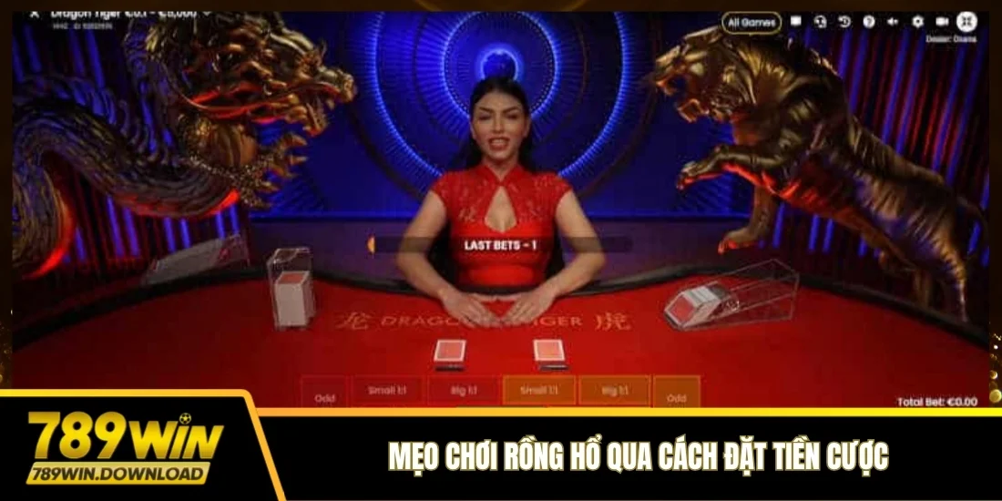 Mẹo chơi Rồng Hổ qua cách đặt tiền cược
